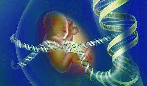 <b>三代试管一般放几个胚胎能选性别吗男女的</b>