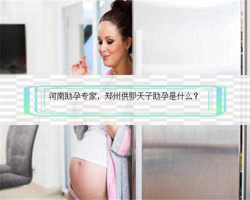河南助孕专家，郑州供卵天子助孕是什么？