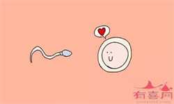 供卵移植为什么要等半年，早孕月经前能测出来吗